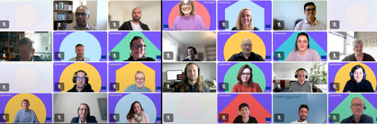 Screenshot of a video conference with 28 participants