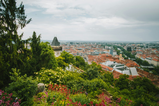 Weiße und braune Dächer einer Stadt mit Bäumen im Vordergrund