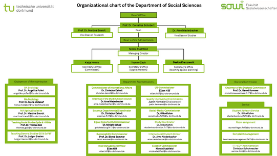 Organizational Chart of the Department of Social Sciences