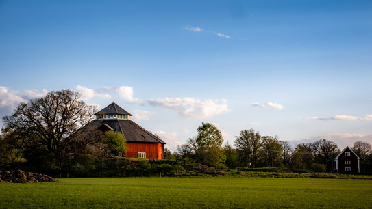 Scheine mit Strohdach auf einem Feld