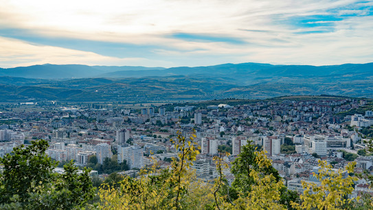 Dächer einer Stadt mit Bäumen und Bergen im Hintergrund