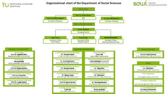 The figure shows the organizational chart of the Department of Social Sciences