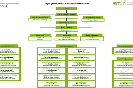 Organizational chart of the Department of Social Sciences