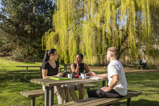 Drei Studierende sitzen an einem Sommertag an einer Sitzbank mit Tisch auf einer Wiese und unterhalten sich gut gelaunt.