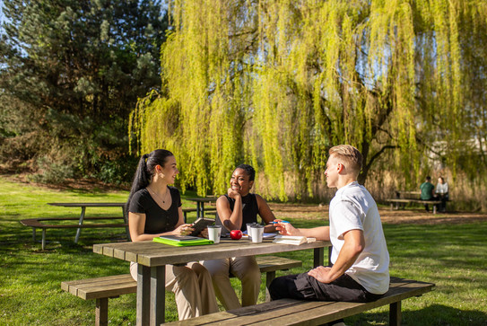 Drei Studierende sitzen an einem Sommertag an einer Sitzbank mit Tisch auf einer Wiese und unterhalten sich gut gelaunt.