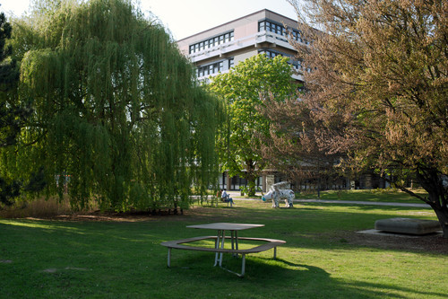 Ein Gebäude der TU Dortmund ist umgeben von blühenden Bäumen im Sommer.