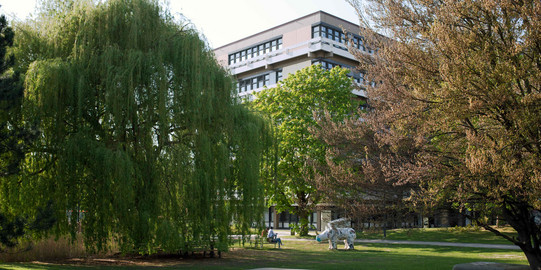 TU Dortmund im Sommer_09 Ein Gebäude der TU Dortmund ist umgeben von blühenden Bäumen im Sommer.