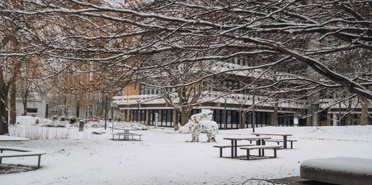 Figur eines geflügelten Nashorns auf der verschneiten Wiese vor dem EF 50-Gebäude auf dem Campus Nord.
