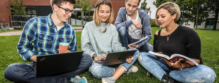 Eine Gruppe studierender lernt auf der Wiese.